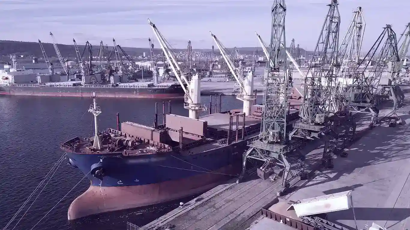 Pier Design & Port Infrastructure Impact on Bulk Cargo Handling